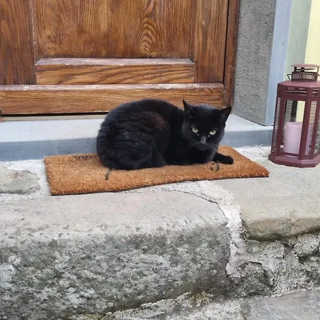 La Casa Di Edy Appartamento Borzonasca