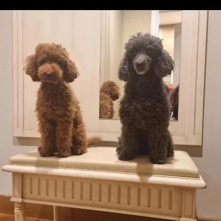 La Casa Di Edy * Borzonasca