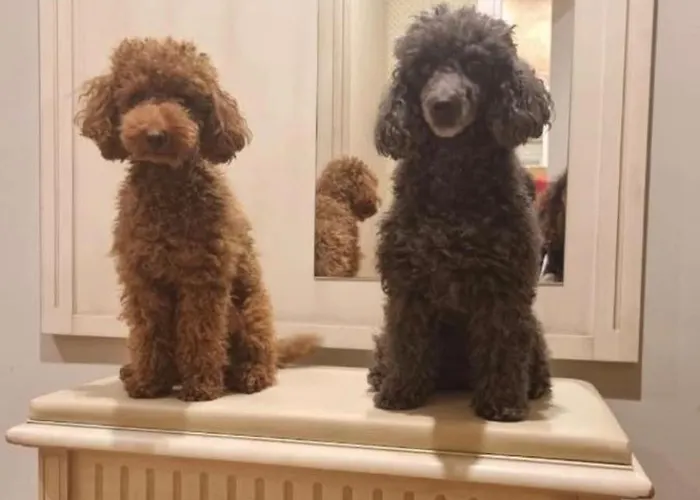 La Casa Di Edy * Borzonasca